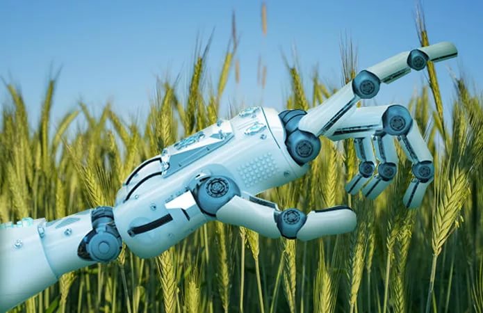 Семинар "Применение робототехнических решений при производстве продуктов питания. Возможности. Технологии"